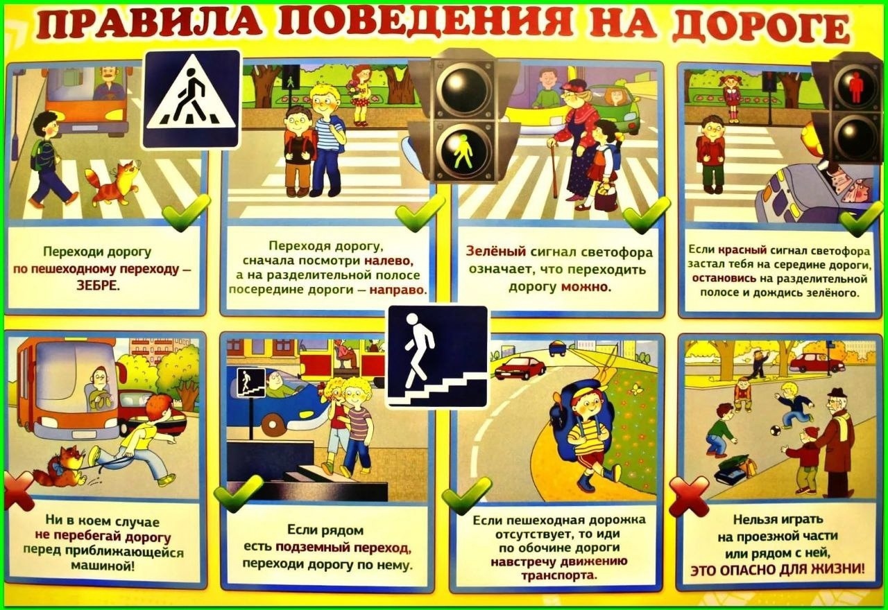 Правила поведения на дороге.